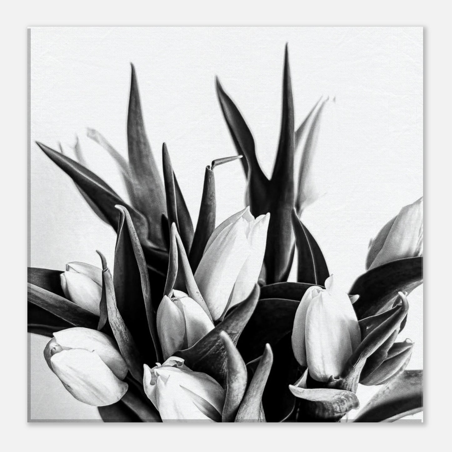 6703bc49-ab46-4b36-b43f-d27c4d224702