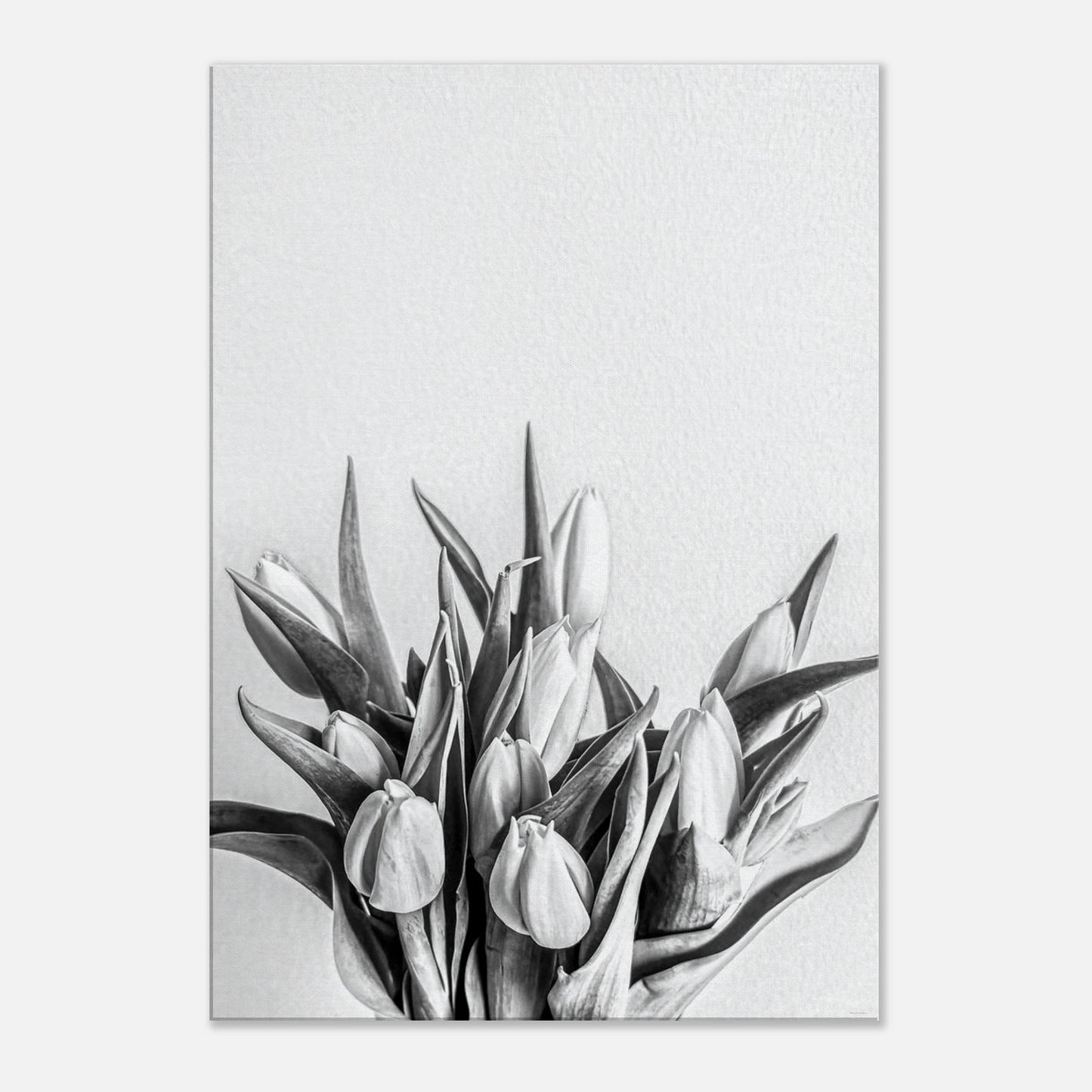 670cc1c2-15fe-45b6-a636-2501c7932d43