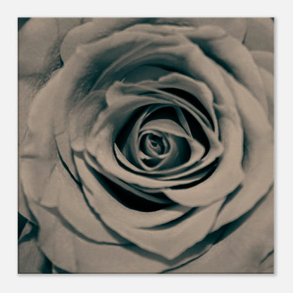 670df553-2cad-4817-a2bf-5f2e278b899f