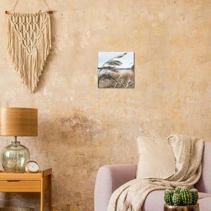 6781719a-0208-4180-bcf3-0001ff11e212