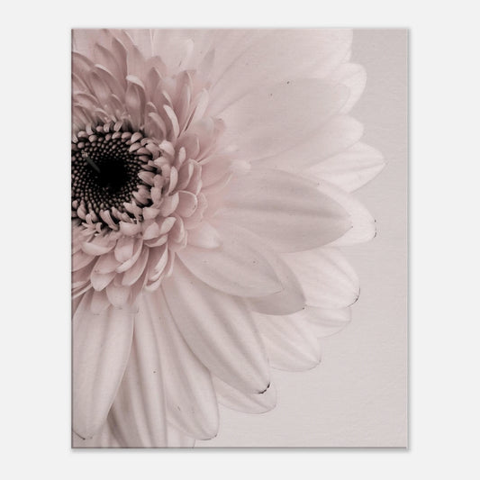 6784c344-8d57-4adb-b31b-9a14c38ffdc5