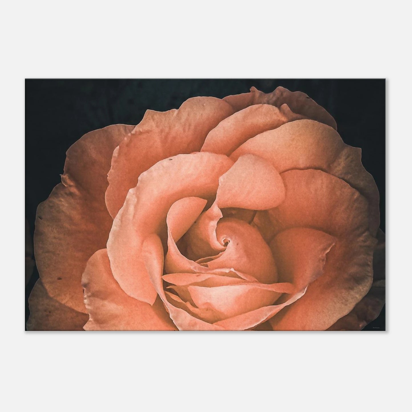 67903db0-1ae5-430c-970e-726fe4aa0924