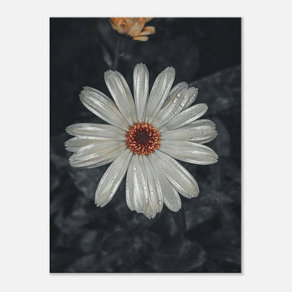 67b95d68-4d6d-4a6d-aa68-5331165c00a5