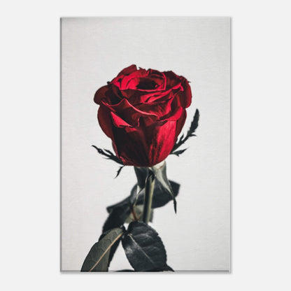 67c31108-9dda-4eb2-8e17-db819bbb8a82