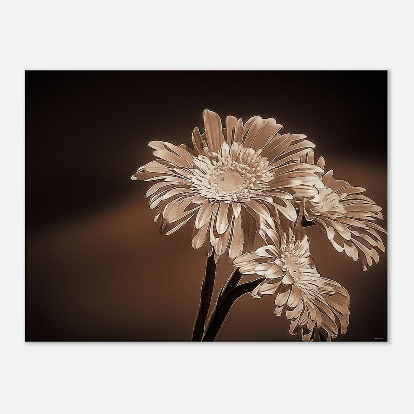 6804629a-3e3a-472c-b4f4-3b855d85bb30