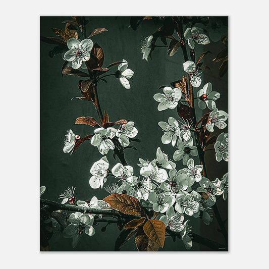 6823a688-20d4-4c49-8649-c58702e640f1