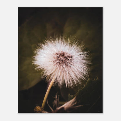 68c097a5-db01-4f93-80d9-c5b9e1ddaba6