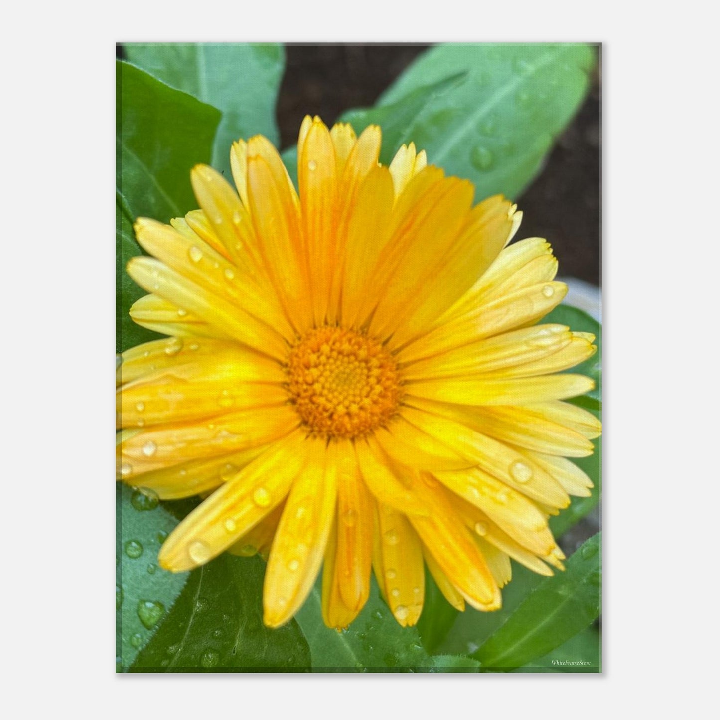 69338fc1-ecdb-477f-90b2-a102a5508a79