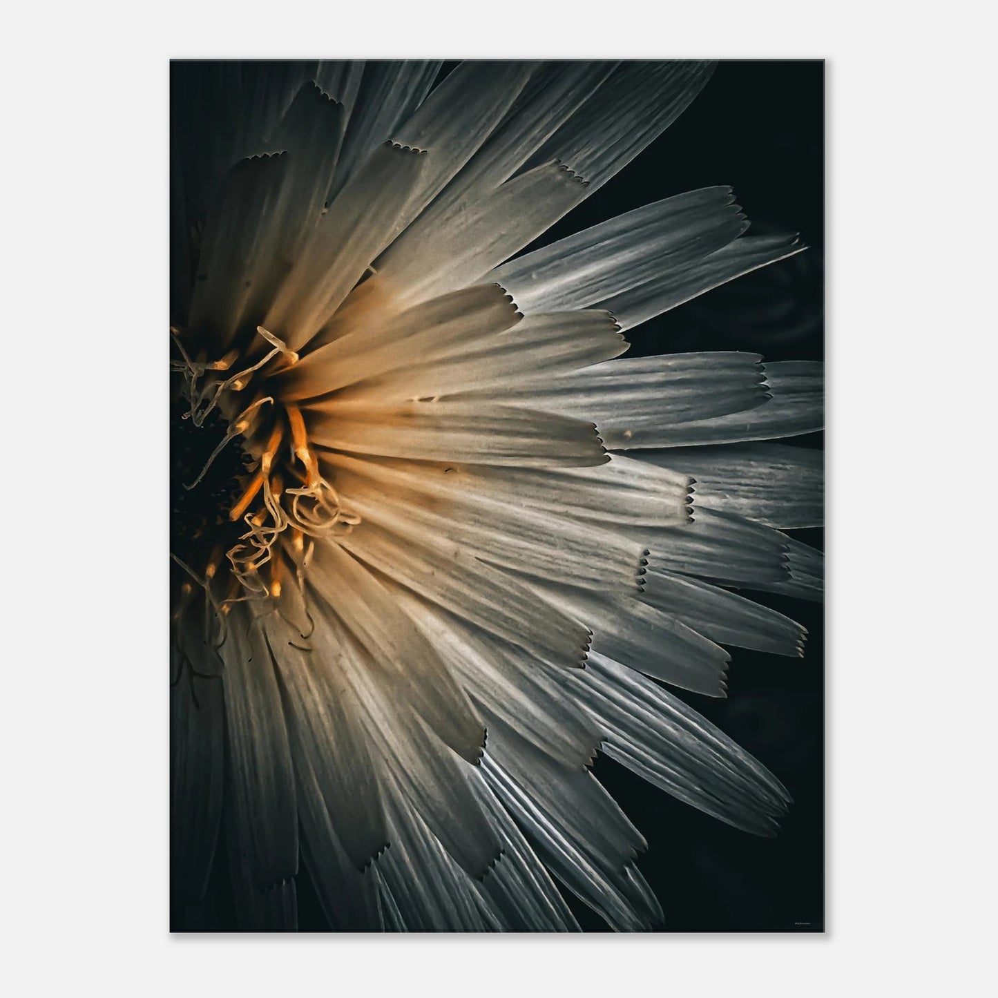 695683d5-8f11-476d-b60d-eaf9015b4637