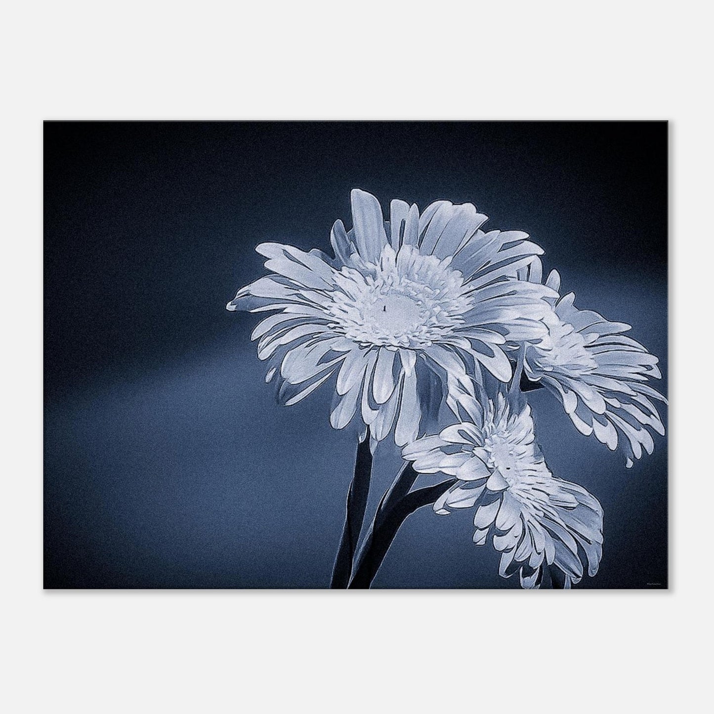 6978317b-dab8-44bd-aa29-78c3856f4398