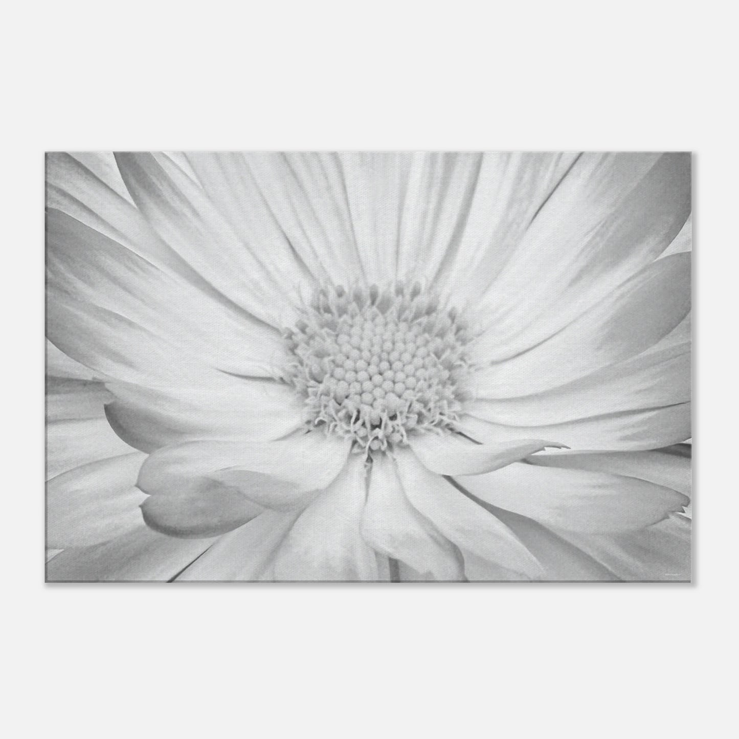 6992e837-09be-4f24-9e53-362236e5c09c