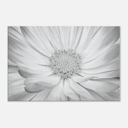 6992e837-09be-4f24-9e53-362236e5c09c