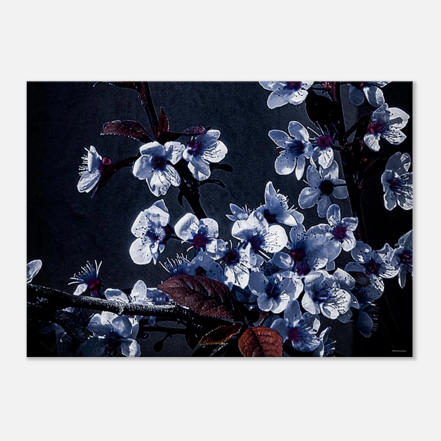 69c3e315-3074-4262-ad53-751c731ebf5b