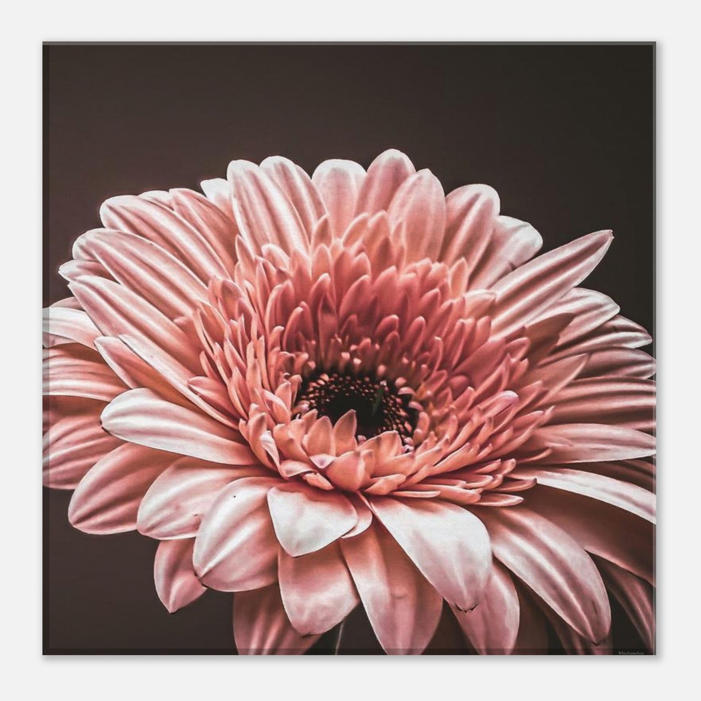 69f5dec3-65c4-4bed-a05f-455ab2c8adf7