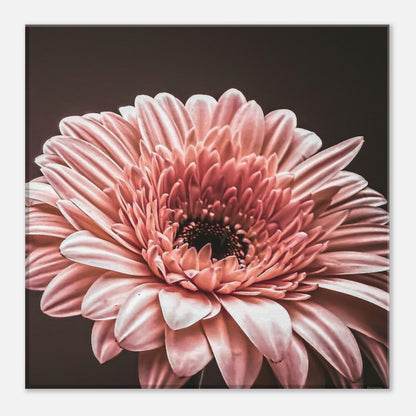 69f5dec3-65c4-4bed-a05f-455ab2c8adf7