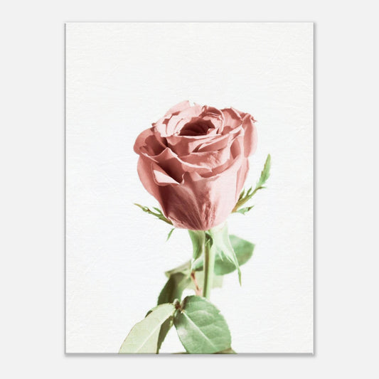 6a298a97-706b-4c66-b153-ce35cae6bf97