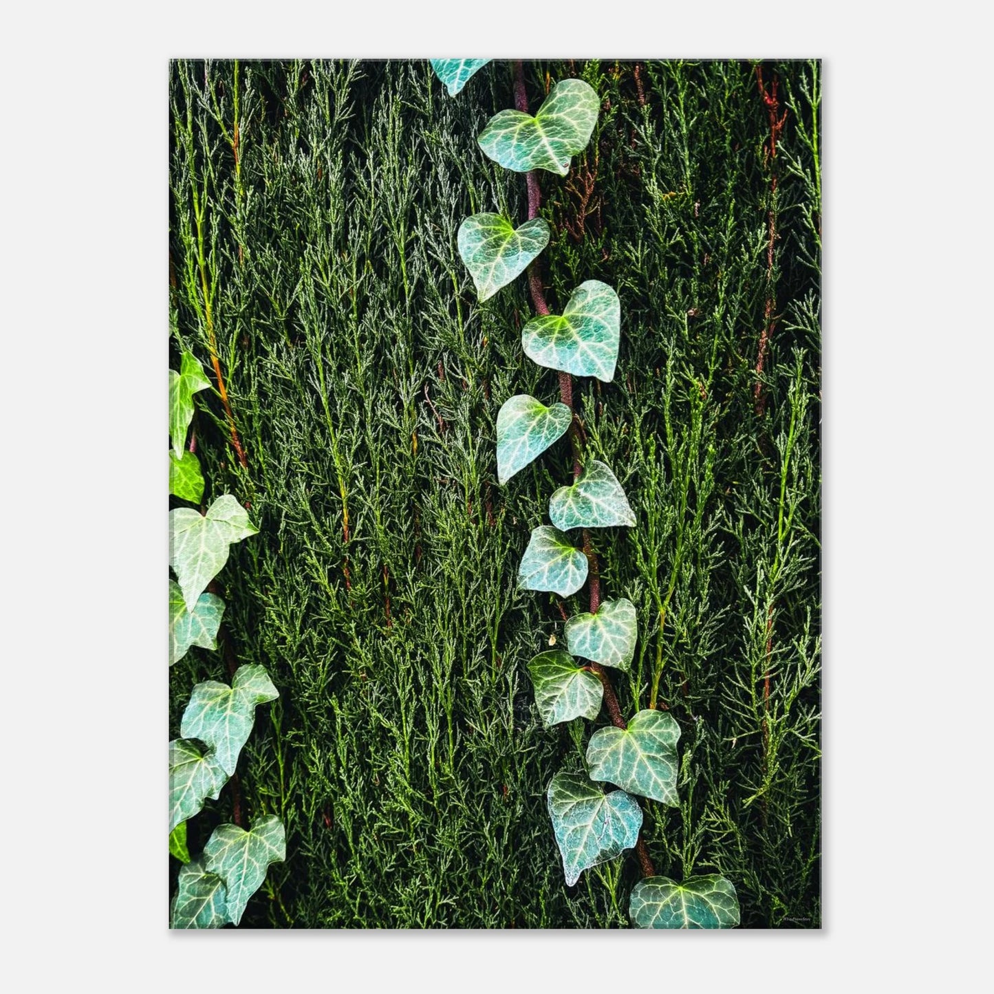 6a4a7389-1dc2-4cc8-8385-864fe06426ed