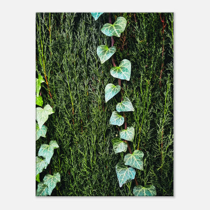 6a4a7389-1dc2-4cc8-8385-864fe06426ed