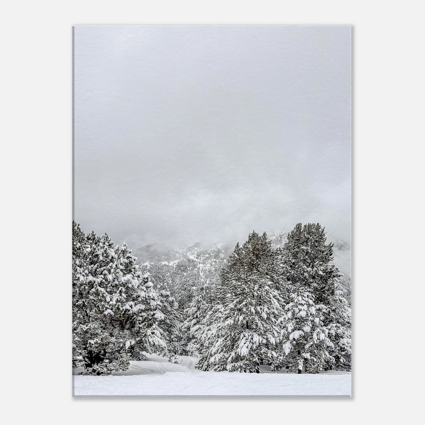 6a545186-113f-45e3-8b16-9d25bde4bcce