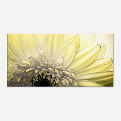 6a6b35ed-ad37-4513-bf4e-0a82a68cca37