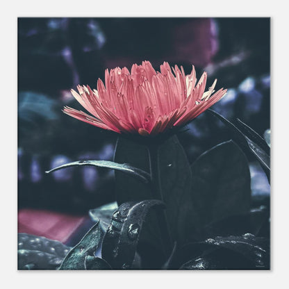 6ab468a2-93ed-4d26-b13b-d8cb471960b4