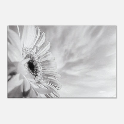 6ada76a9-1f9e-49d2-a0f0-e8f96e985f26