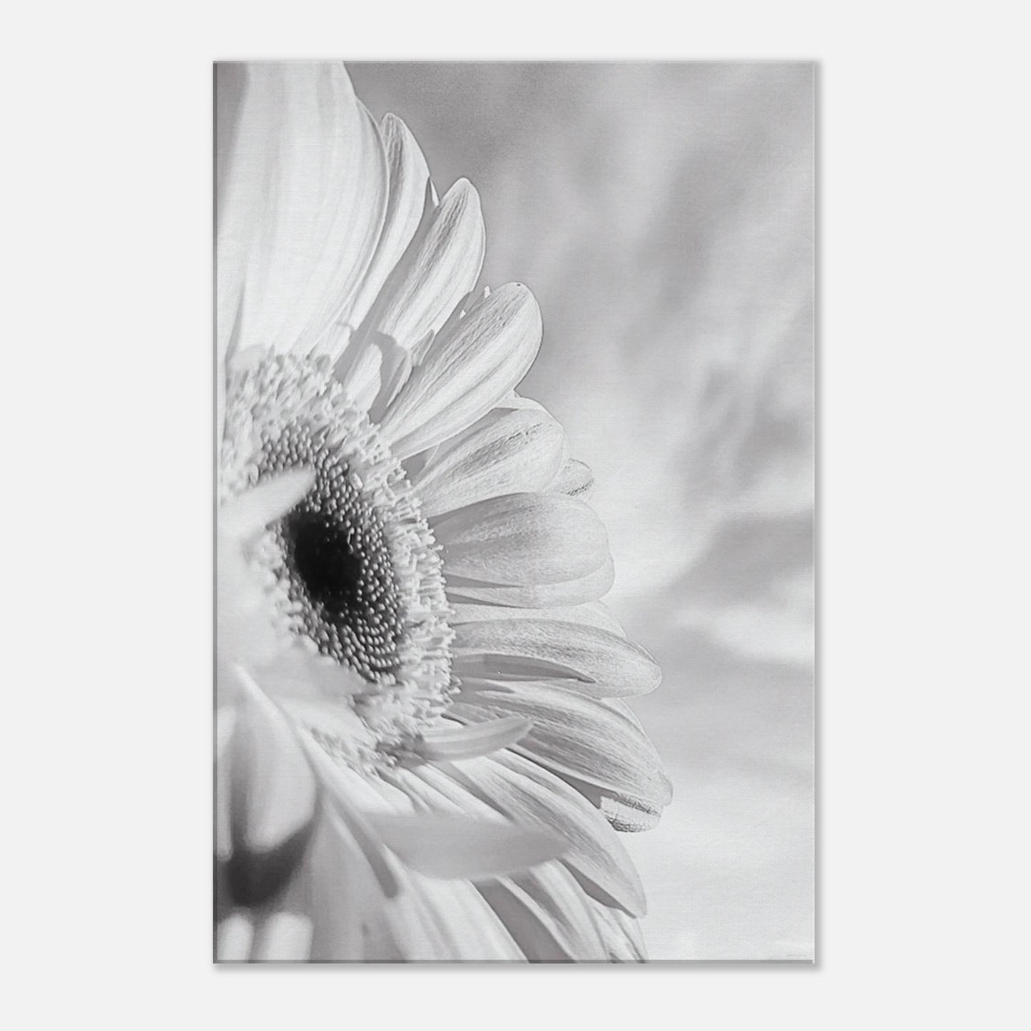 6af3cf7a-a0f3-4d5b-96ef-3390c9d20a1f