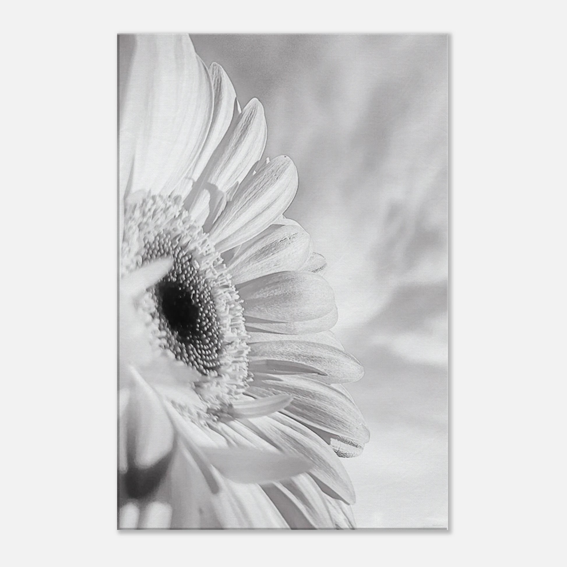 6af3cf7a-a0f3-4d5b-96ef-3390c9d20a1f