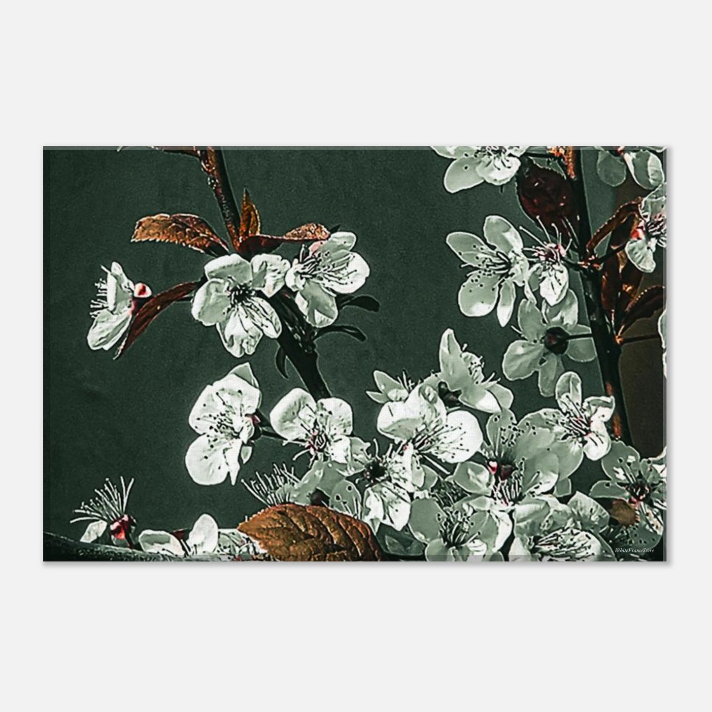 6b0812bc-c760-4fcd-b62e-e9b71ddb46c9