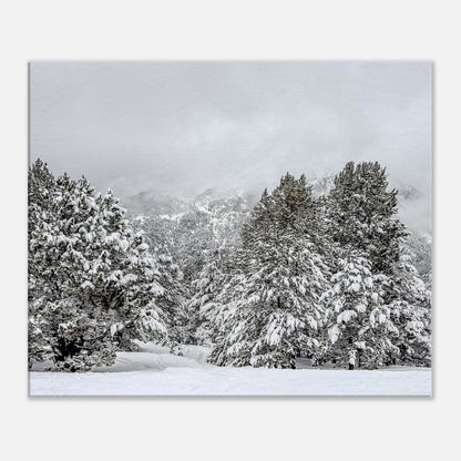 6b094605-2ac1-4fd4-9a30-273be0da5b74