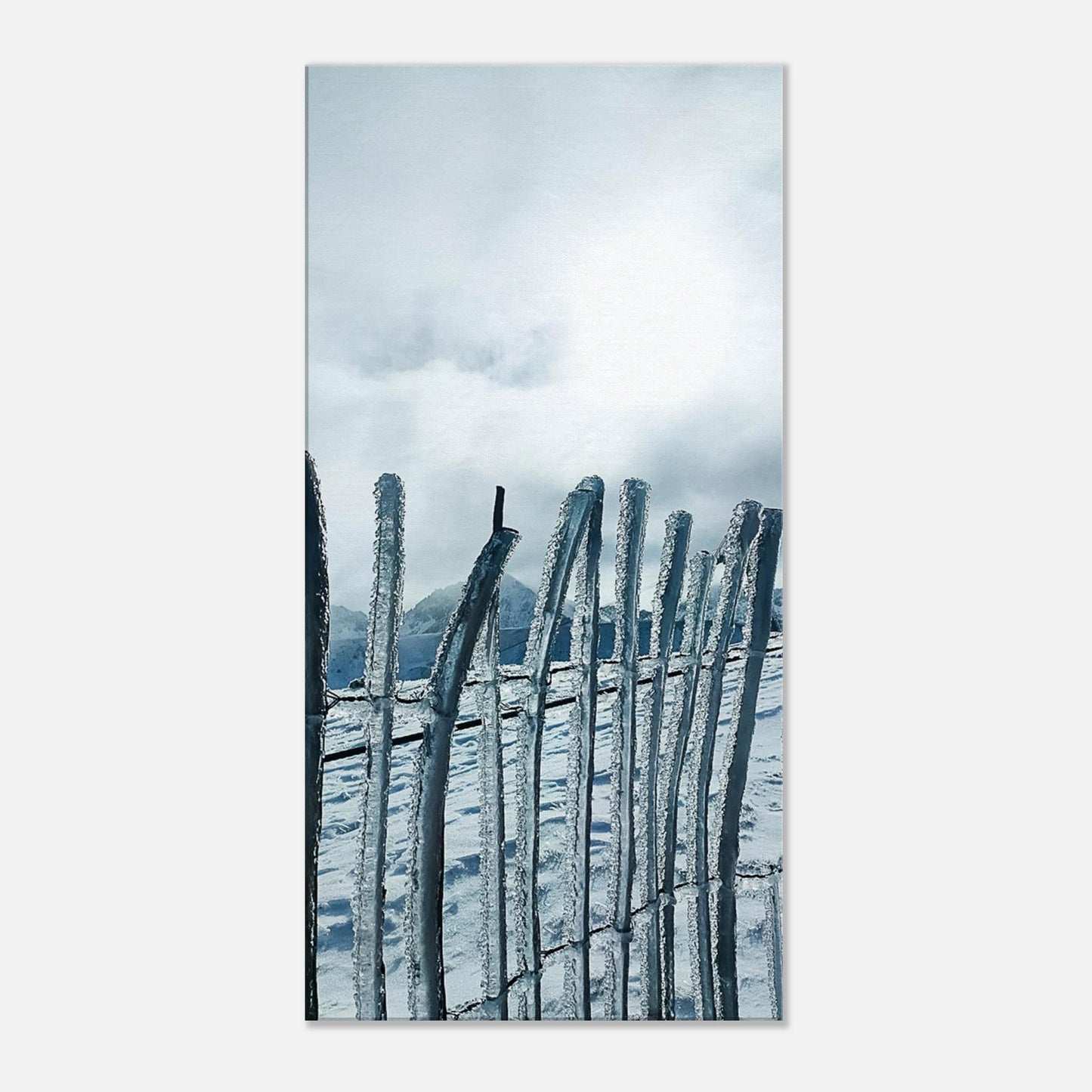 6b298c47-65d4-48b2-ae5f-24d144426c7b