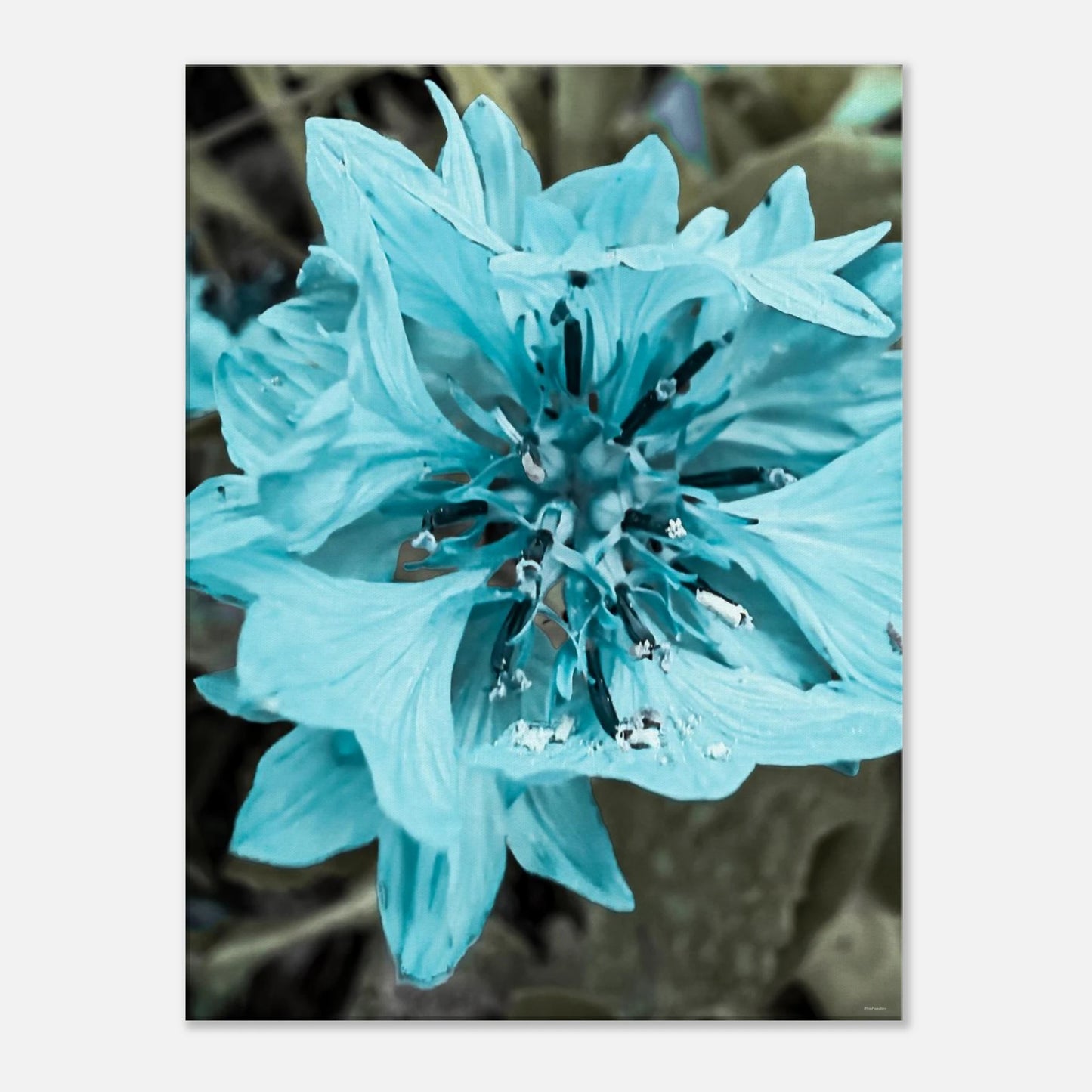 6b581b88-7ea5-44fd-93fd-d8820f31b69a