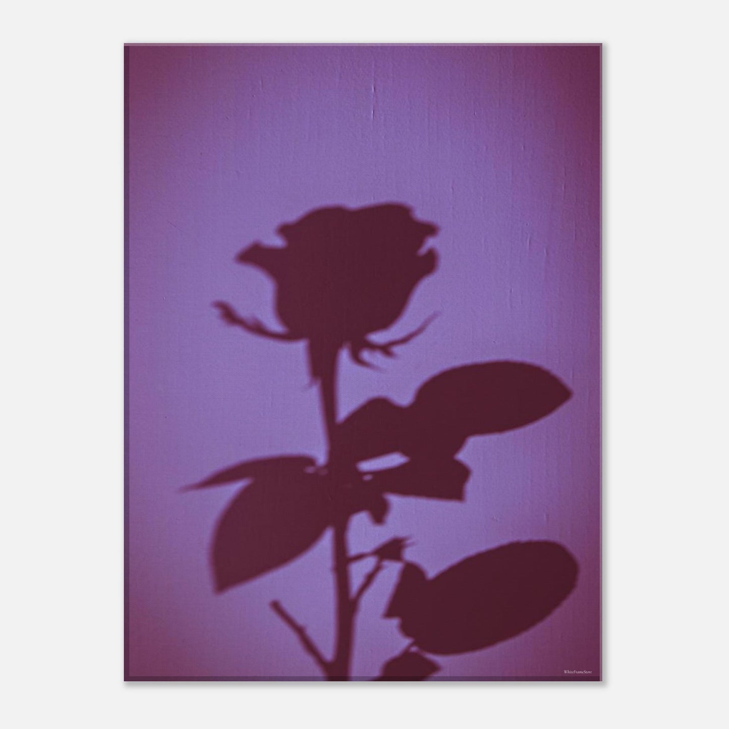 6b5e779c-6931-418f-8a33-5ad10b028fe6