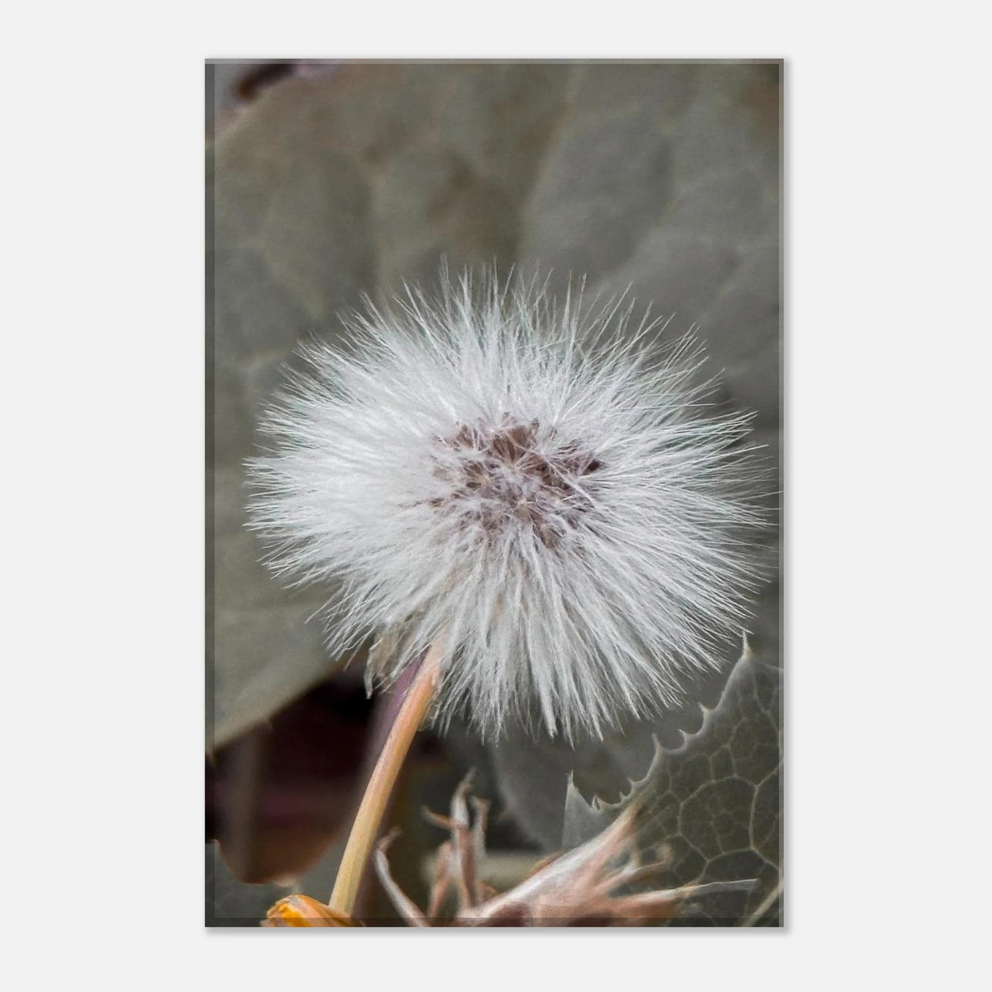 6b68d10f-c089-493e-99bb-258de46465d0