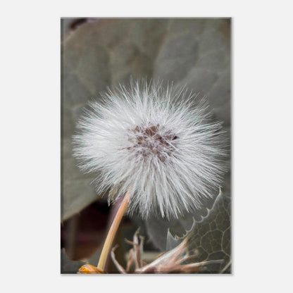 6b68d10f-c089-493e-99bb-258de46465d0