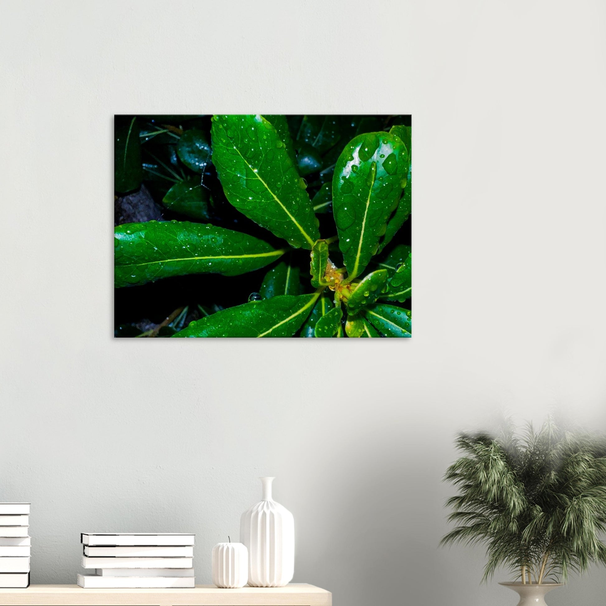 6b6b480a-5ff2-4fe7-bd5e-45d7c84d57e9