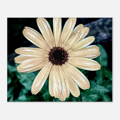 6b7d3ad2-b871-45ff-988f-ddee988aec7f