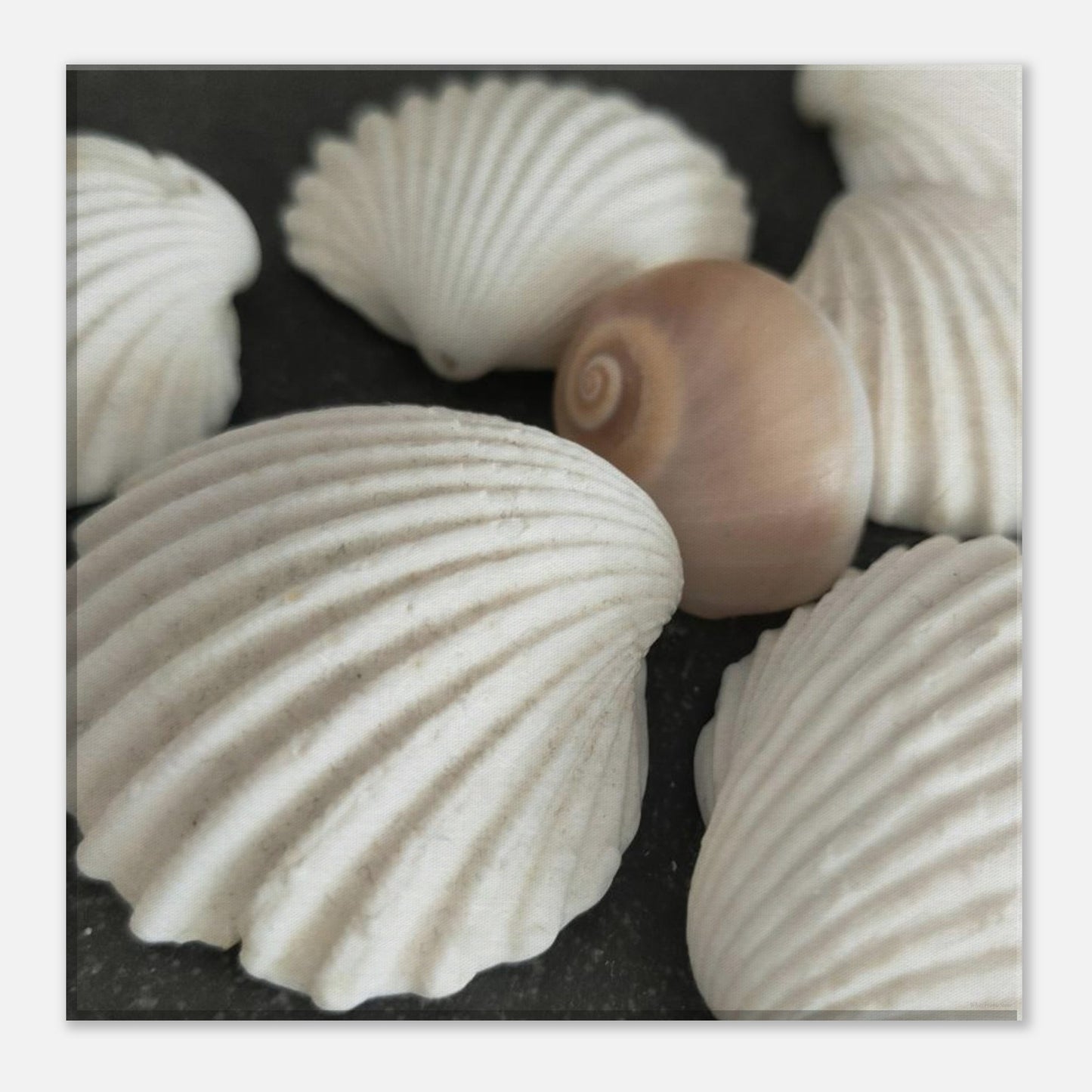 6ba2de87-b7af-46df-bf02-224753ed92ff