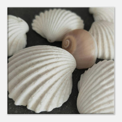 6ba2de87-b7af-46df-bf02-224753ed92ff