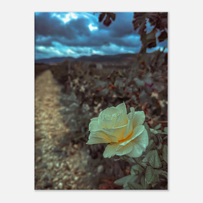 6baa4b6a-52c2-4e7c-8f18-1a56b3b3df21