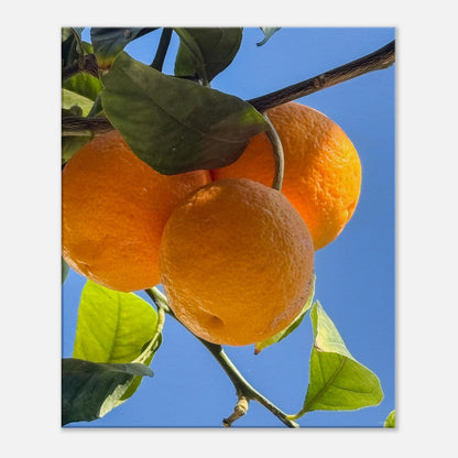 6bb65ac5-d822-4d6c-b731-959817cfde6f