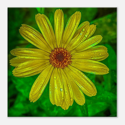 6bc65513-c8bb-43d5-81db-232671462f58