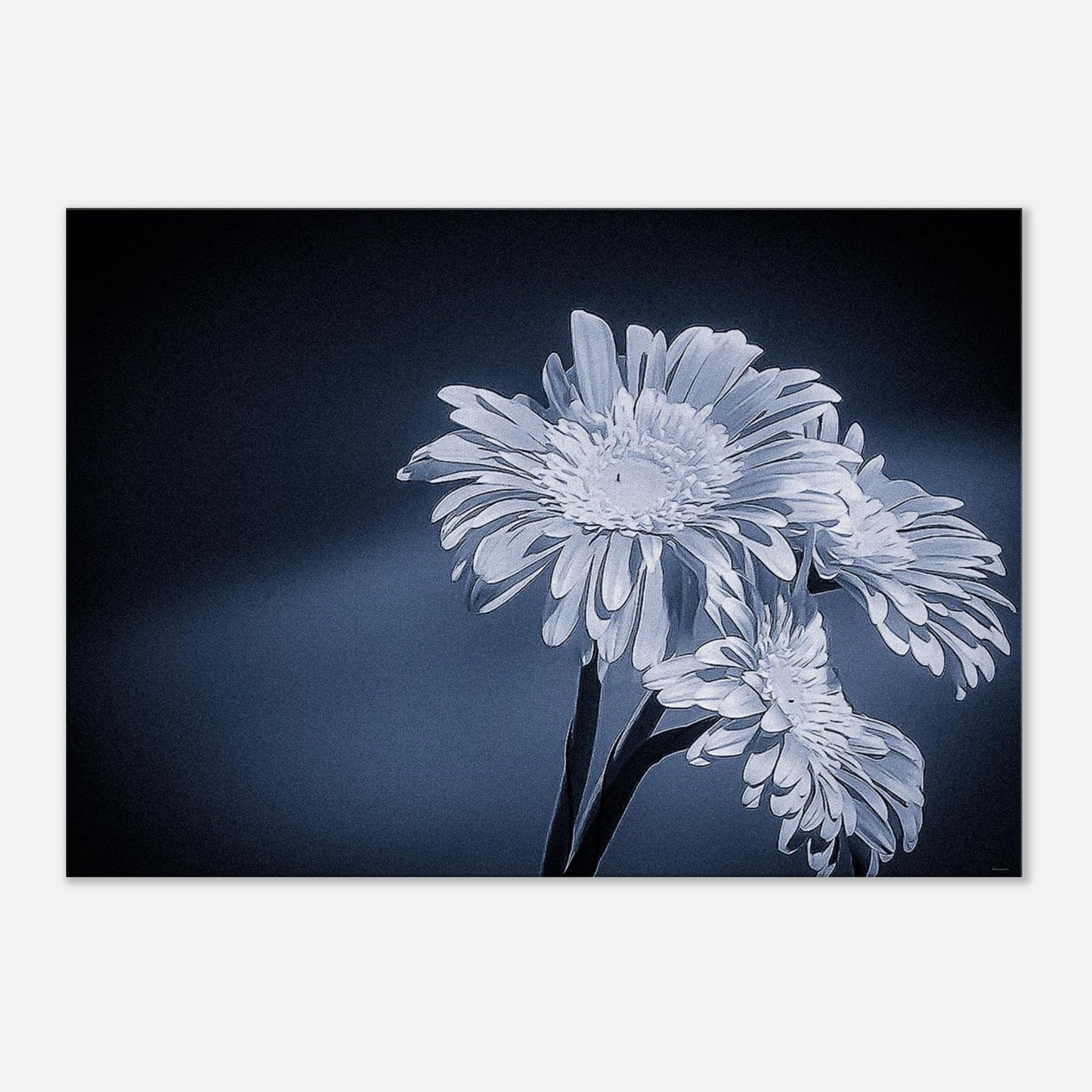 6bf115a9-36a8-4a42-a31b-1848bb264d0e