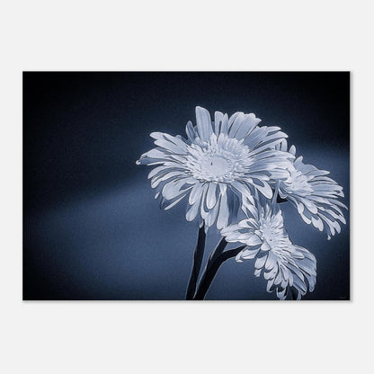 6bf115a9-36a8-4a42-a31b-1848bb264d0e