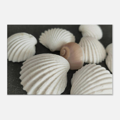 6bfc6667-0207-4b06-922e-2e4e36656a0e