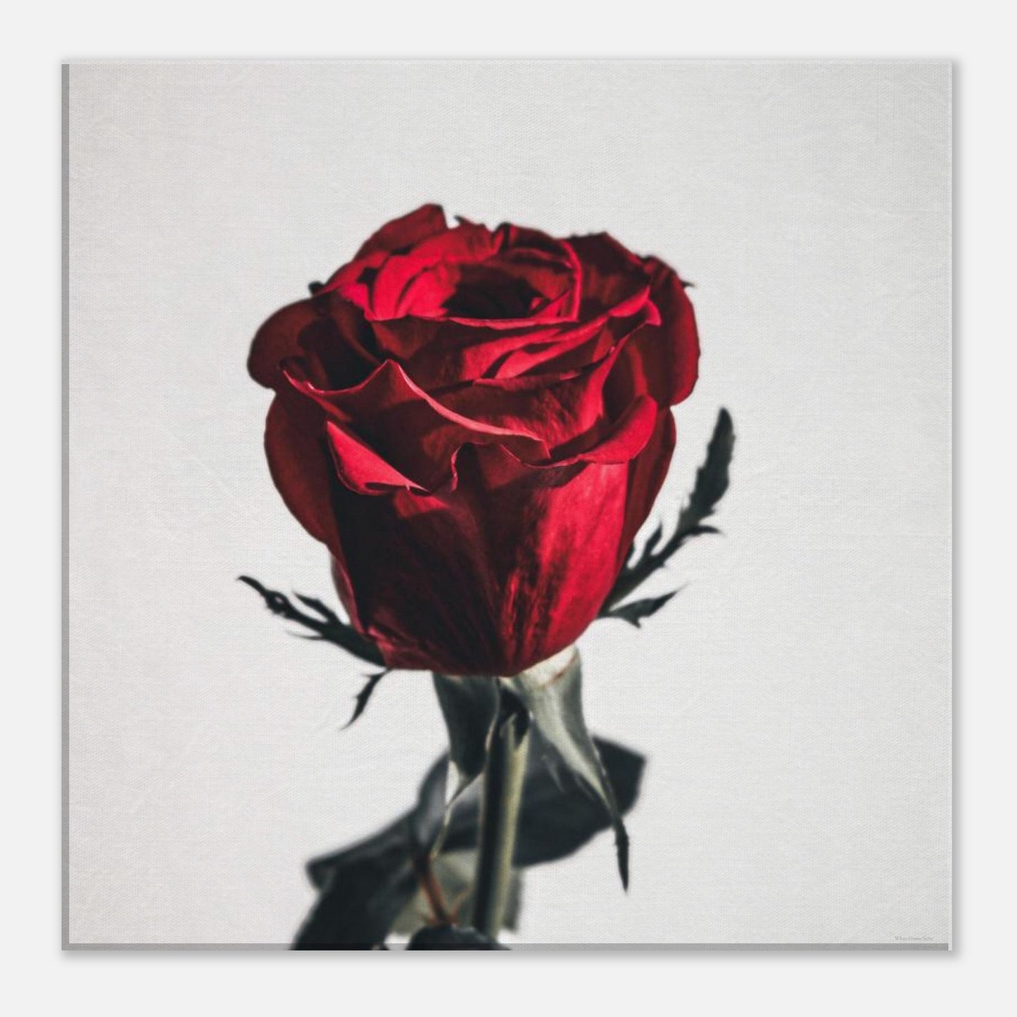 6c07674a-809e-424d-9456-9e494a9057dd