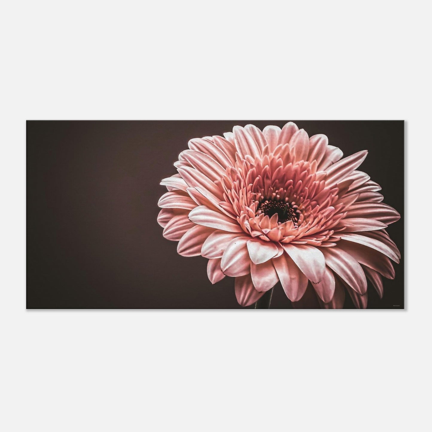 6c1f39ec-ac02-44a0-9ed2-e763a6099ac9