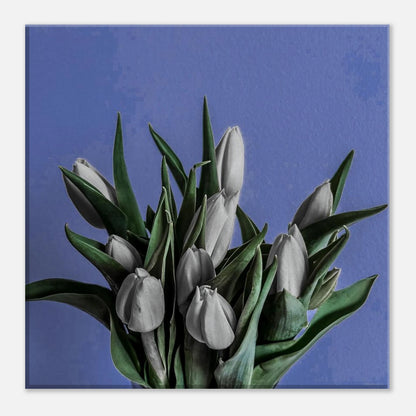 6c350713-707d-4d4d-bfbf-312224c6245a