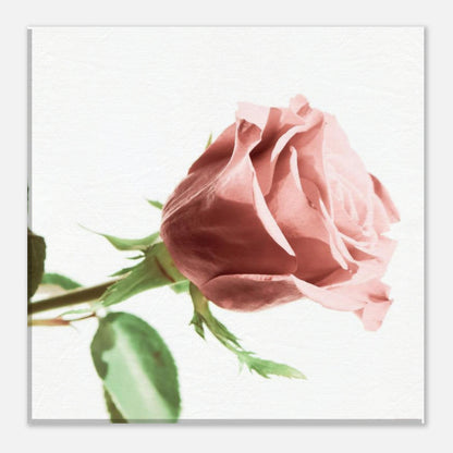 6c82c698-ac77-468b-b68a-1920956ec987