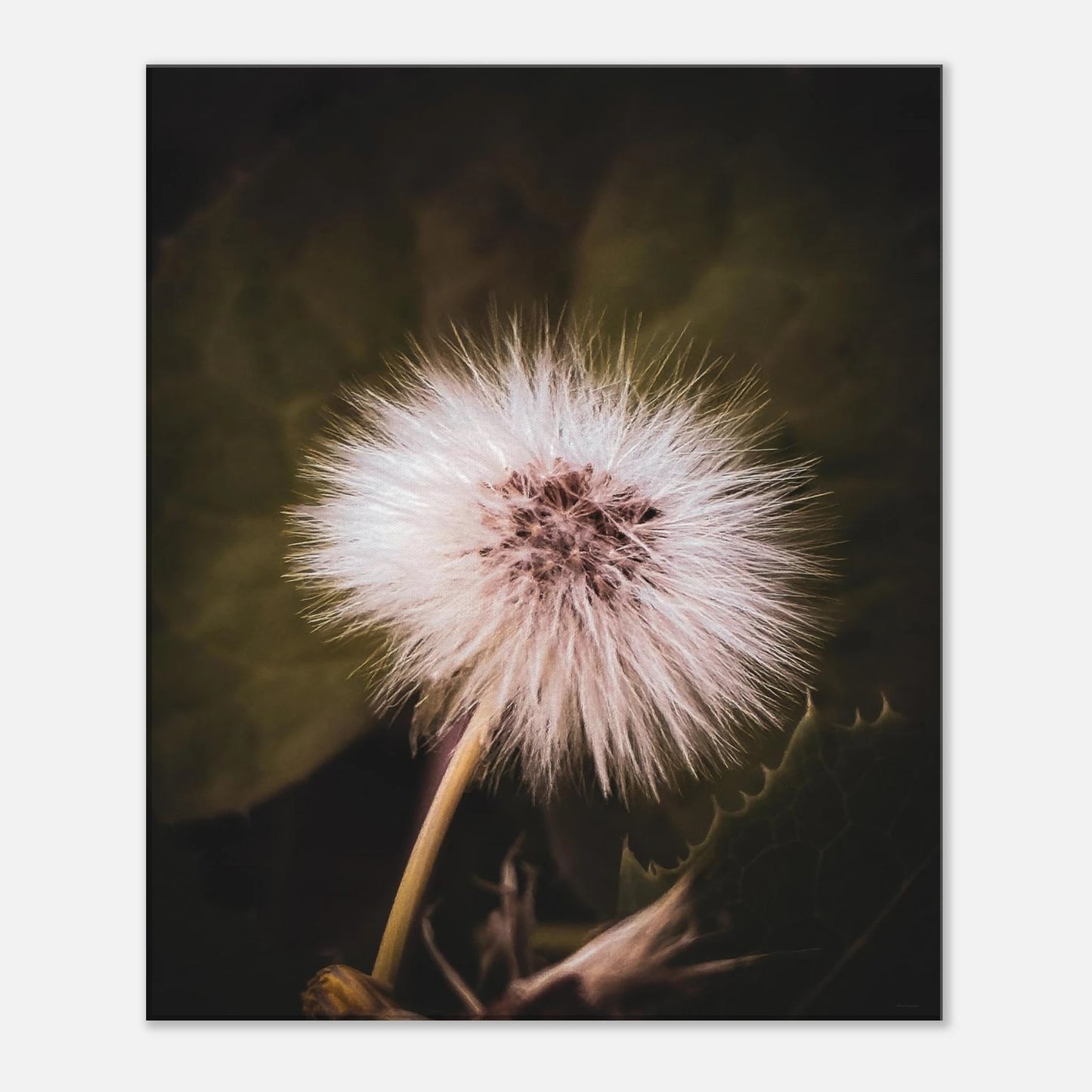 6c93f593-4a64-4b93-858f-37f274fe30a7